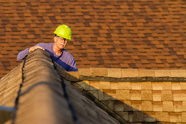 Best Roof Gutter Cleaning  in Yorketown, NJ